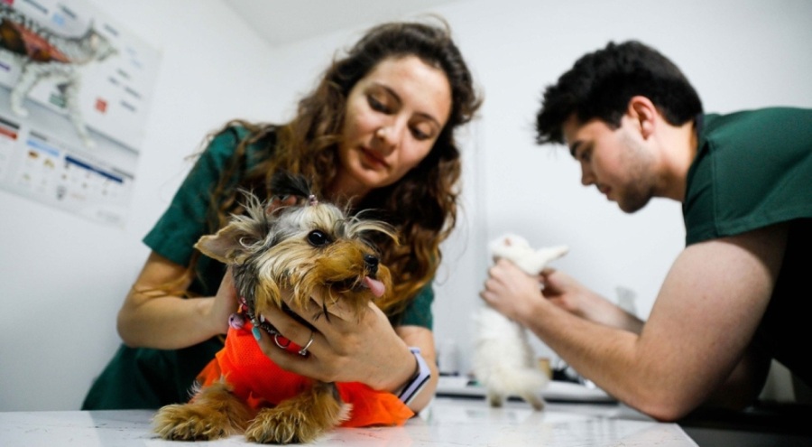 Öldürücü parazit vakalarında artış! Uyarı geldi...