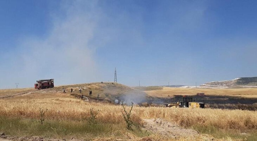 Eskişehir'de çıkan yangında 30 dönümlük arazi küle döndü