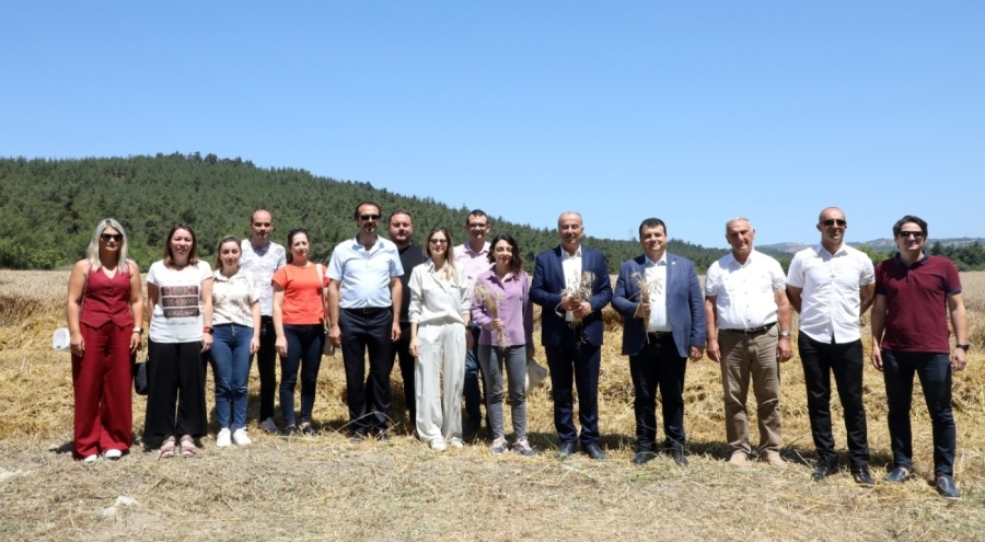 Mudanya'da buğday hasat töreni