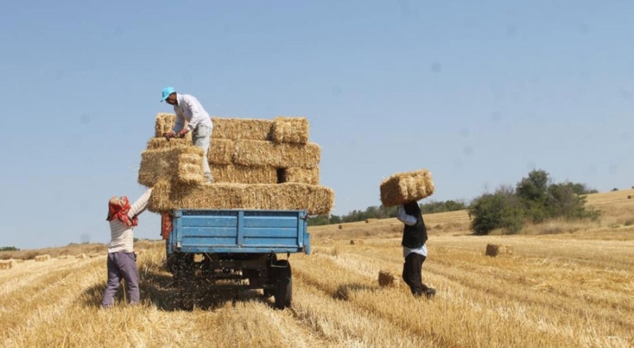 Balya işçilerinin günlük yevmiyesi açıklandı