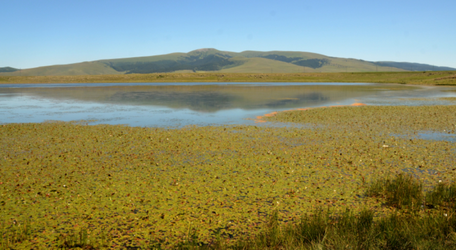 Asboğa Gölü'nü kuralık vurdu! 8 metre çekildi