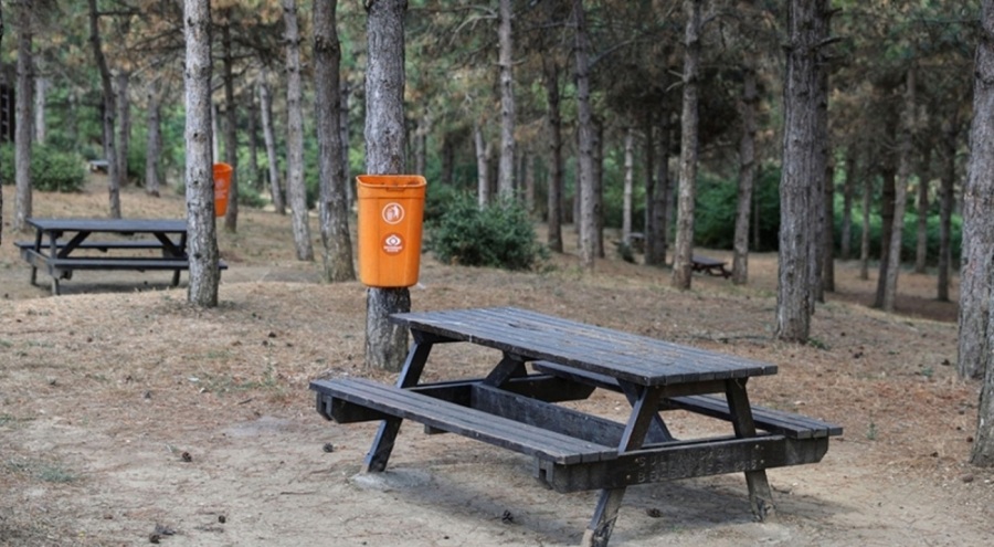 Sakarya'da ormanlık alanlara girişler yasaklandı