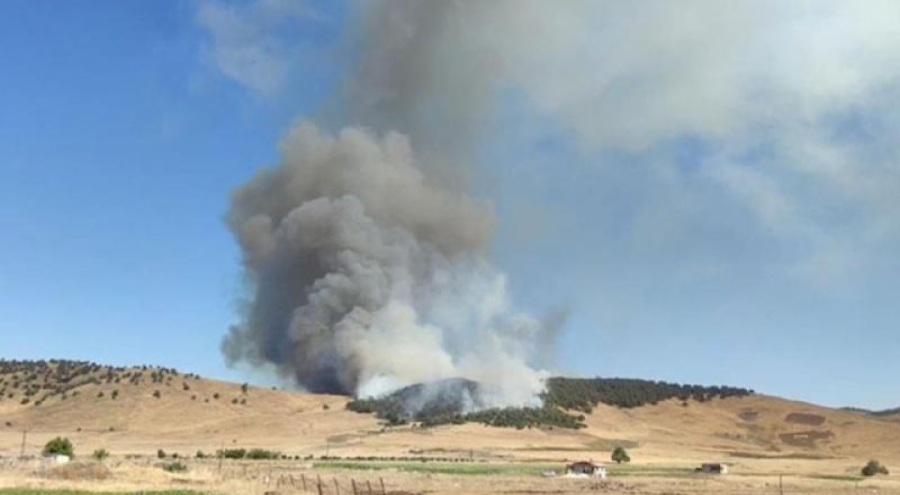 Gaziantep'te orman yangını