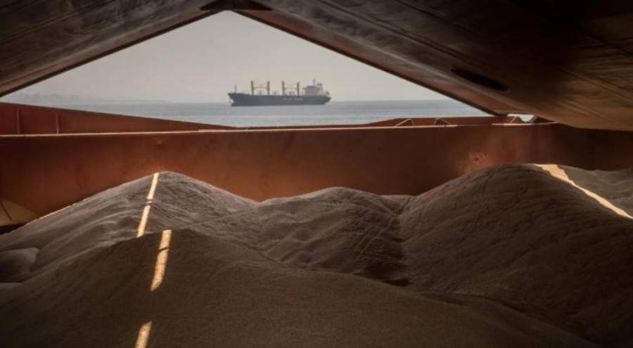 Almanya'dan Rusya'ya tahıl eleştirisi