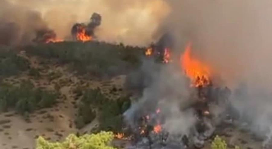 Denizli'de orman yangını