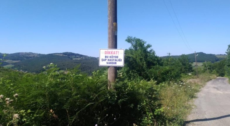 Karabük'te şap alarmı