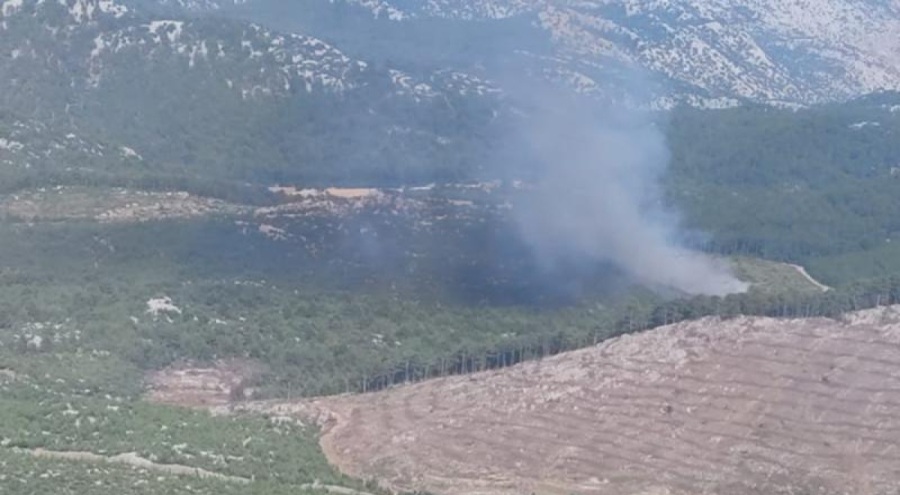 Antalya'da orman yangını çıktı