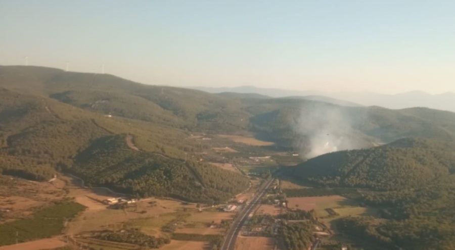 İzmir'de orman yangını