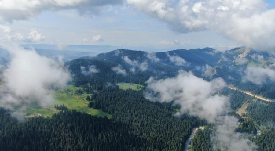 Bir ilde daha ormanlara giriş yasaklandı