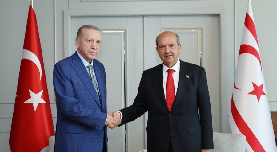 Erdoğan, Tatar ile görüştü