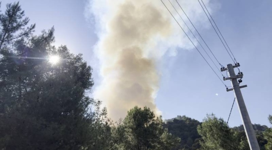Alanya'da çıkan orman yangını söndürüldü