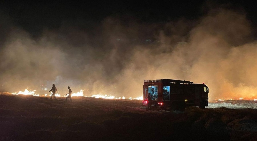 İstanbul'da otluk alanda yangın