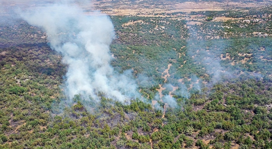 Bakan Yumaklı açıkladı: 10 günde 203 orman yandı