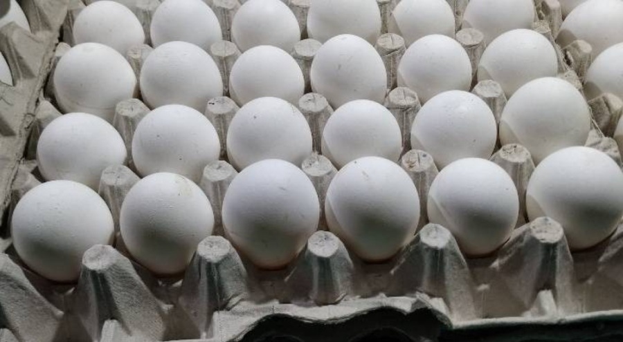 Bakanlık'tan Tayvan'a ihraç edilen yumurtalarla ilgili açıklama