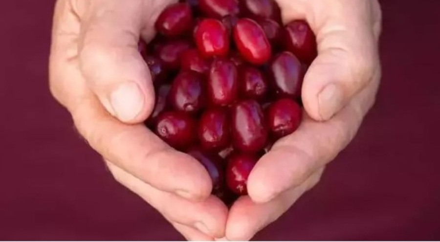 Bu besinler ölüm riskini yüzde 16 azaltıyor!