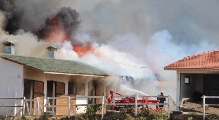 Bilecik'te at çiftliğinde yangın