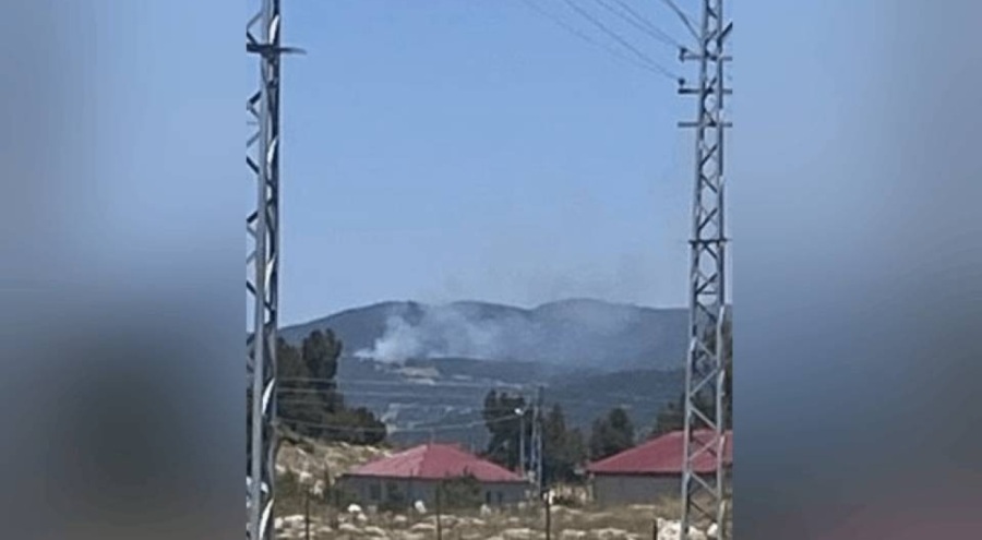 Adana'da orman yangını