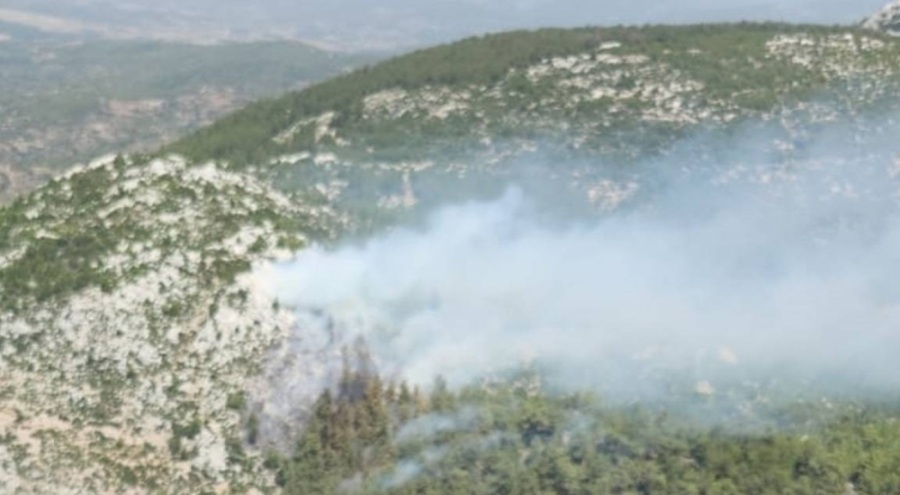 Milas'ta korkutan yangın!