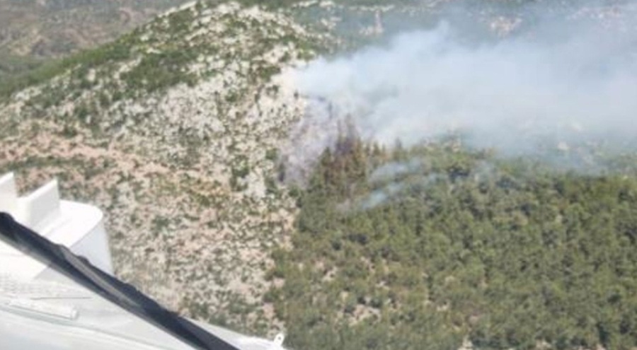 Milas'ta meydana gelen yangın kontrol altında