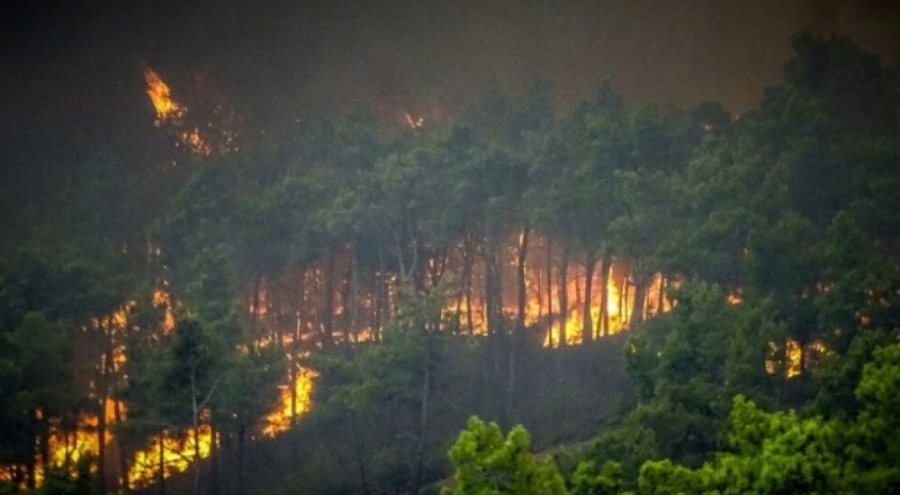 Yunanistan'da 40 bin kişi tahliye edildi