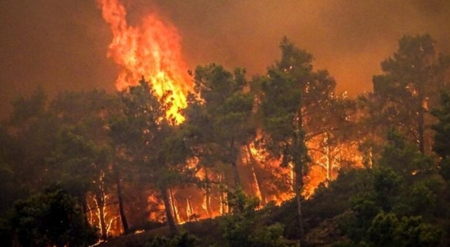 Yunanistan'daki yangın büyüyor! Korfu adası da yanıyor