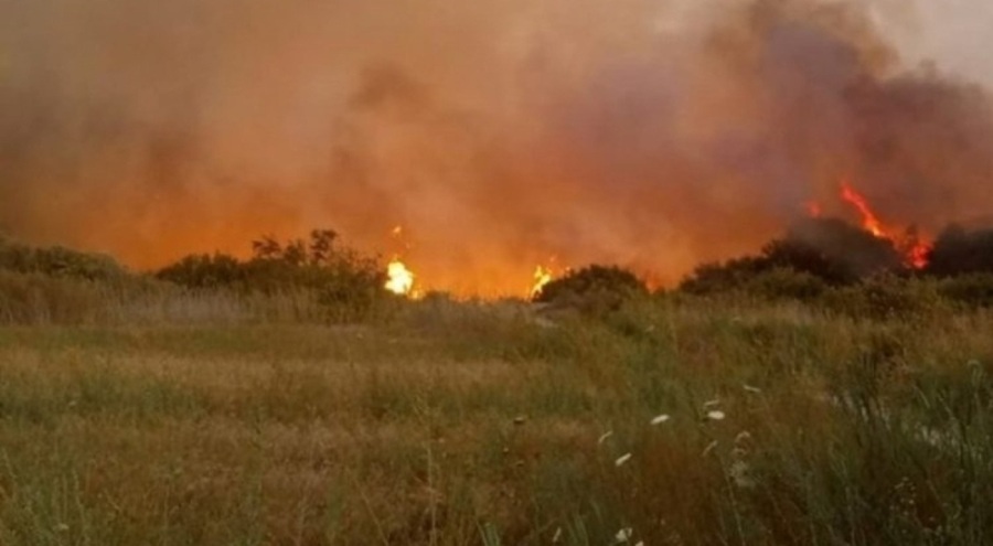 Antalya'da zeytinlikte yangın çıktı!