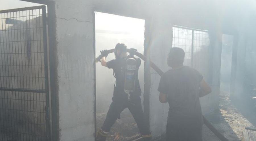 Kırklareli'de 10 kaz telef oldu