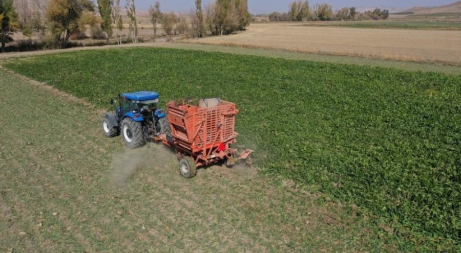 Pancar bakım avans ödemesi bugün hesaplarda