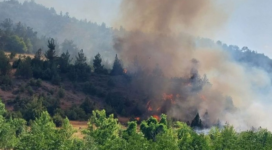 Kahramanmaraş'ta orman yangını çıktı!