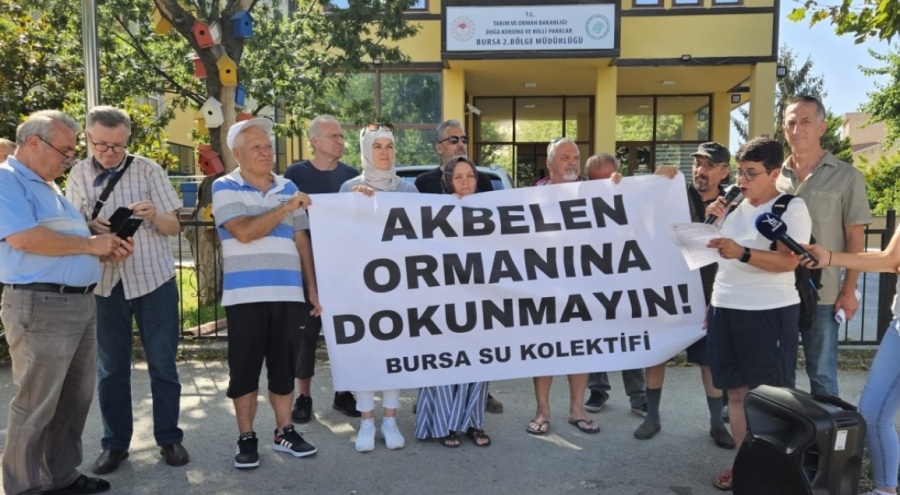 Bursa Su Kolektifi: Akbelen ormanına dokunmayın!