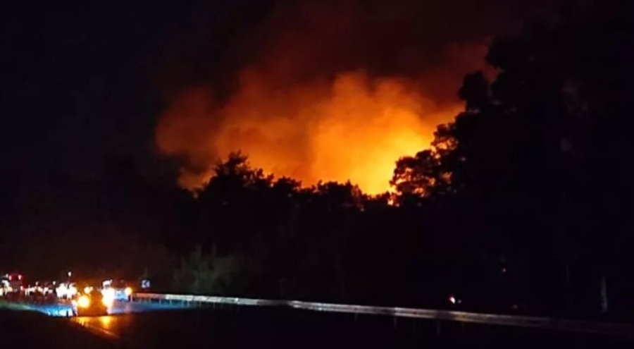 Kemer'de orman yangını