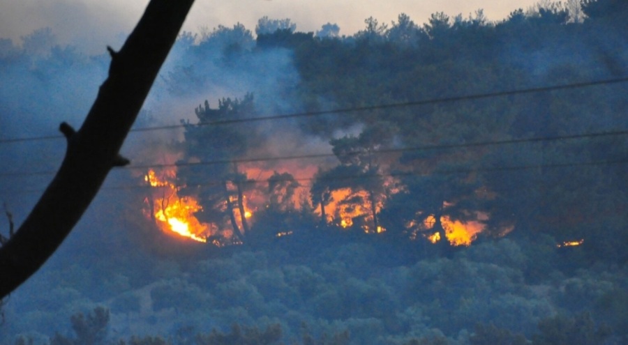 Manisa'daki orman yangını sürüyor! 15 ev yandı