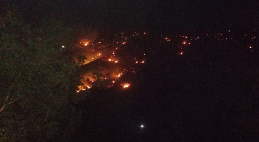 Kahramanmaraş'ta, 14 saat süren yangında 100 hektar alan zarar gördü
