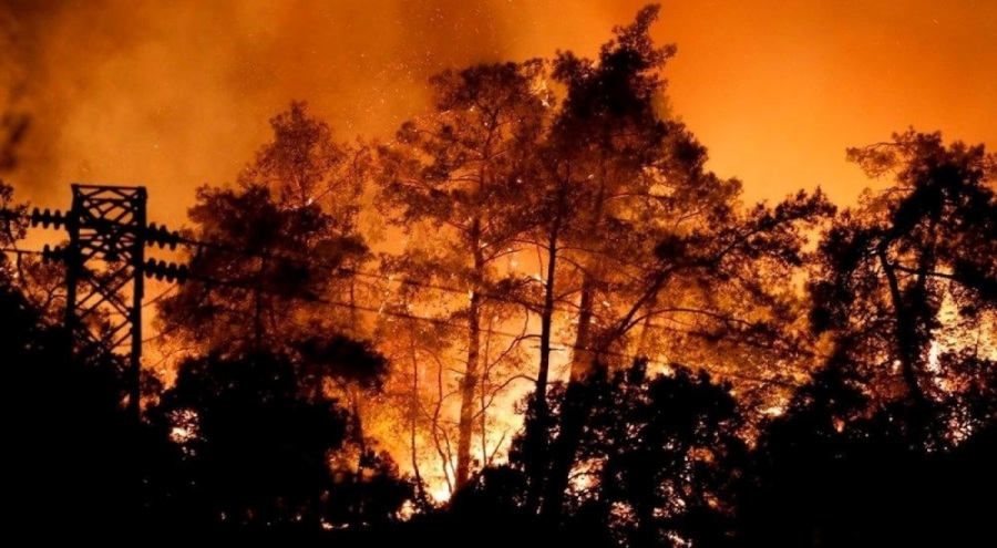 Turizm cenneti cayır cayır yanıyor!