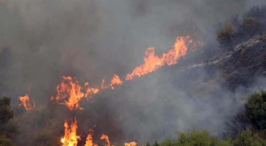 Cezayir'de orman yangınları sürüyor