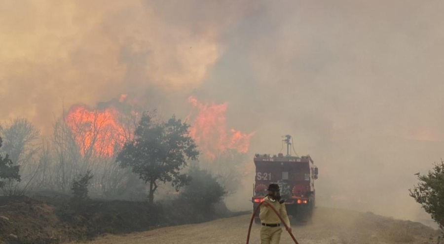 Çanakkale'de çıkan orman yangınına müdahale ediliyor