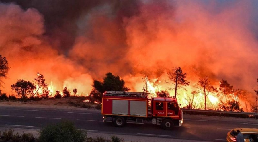 İtalya'da kömürleşmiş iki ceset bulundu