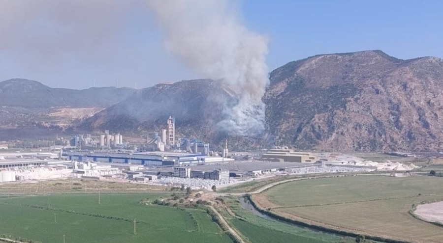 Aydın'da yangın çıktı!