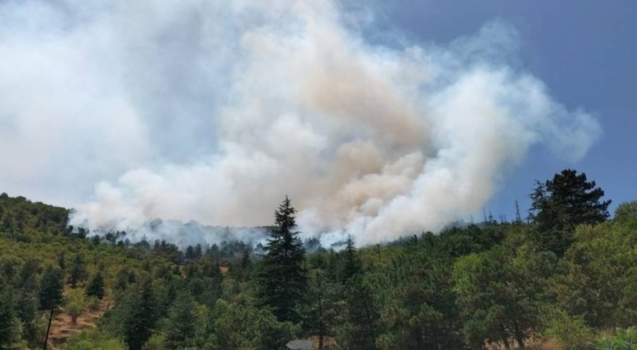 Afyonkarahisar'da korkutan yangın!
