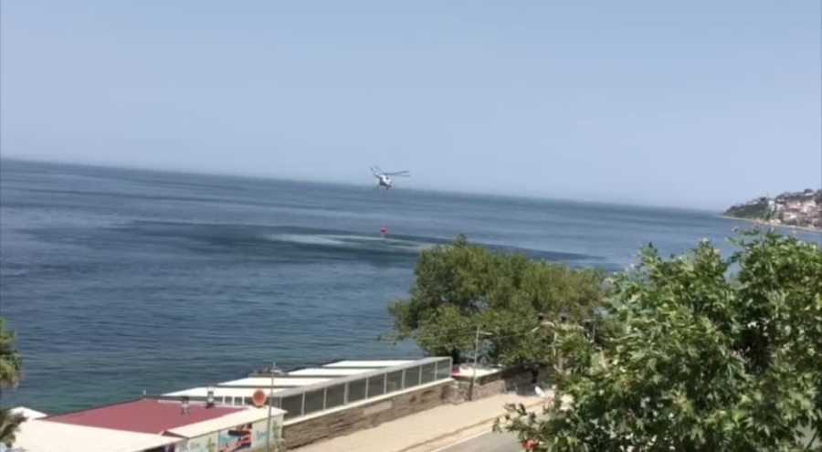 Yalova'nın Çınarcık ilçesinde başlayan orman yangını söndürüldü