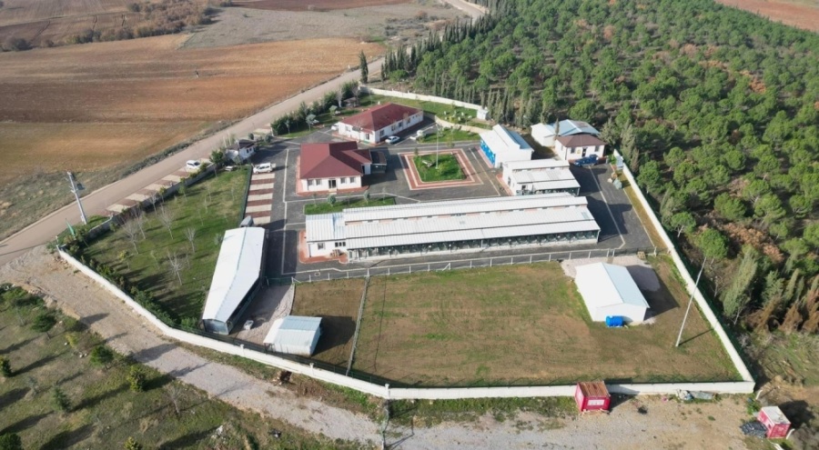 İnegöl Belediyesi 6 ayda 2 bin 700 hayvana şifa oldu