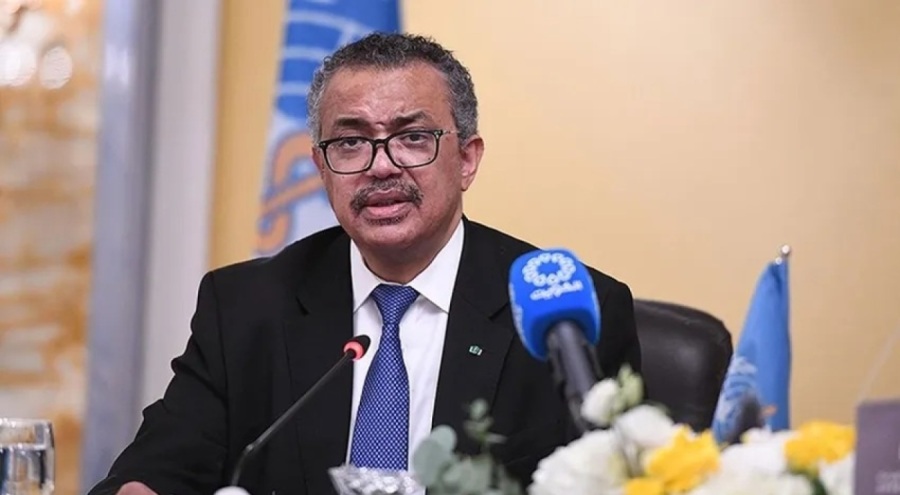 DSÖ: Orman yangınları 40 kişinin ölümüne neden oldu