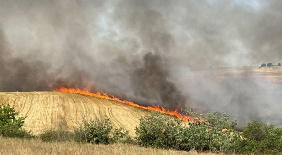Tekirdağ'da 600 dönümlük alan cayır cayır yandı