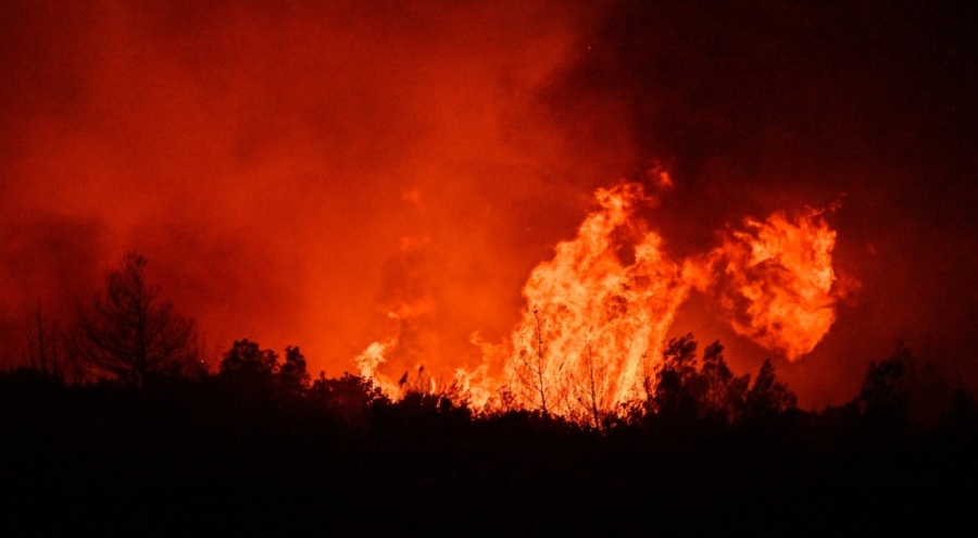 İzmir'de 3 mahalle yangın nedeniyle tahliye ediliyor!