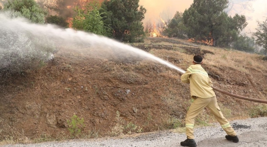 Kütahya'daki orman yangınının kontrol altına alındığı açıklandı