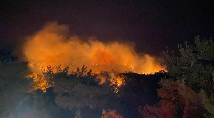 Çanakkale'de orman yangını çıktı!
