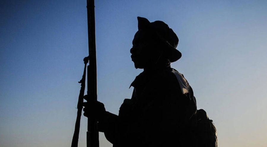 Nijer'de yönetime el koyuldu!