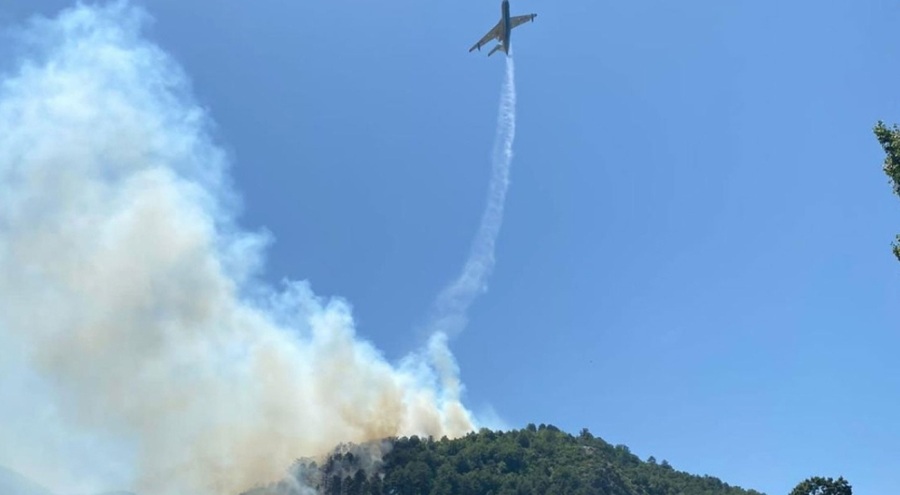 Balıkesir'in İvrindi ilçesinde orman yangını
