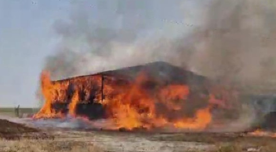 Çiftlikte yangın: 33 büyükbaş hayvan telef oldu