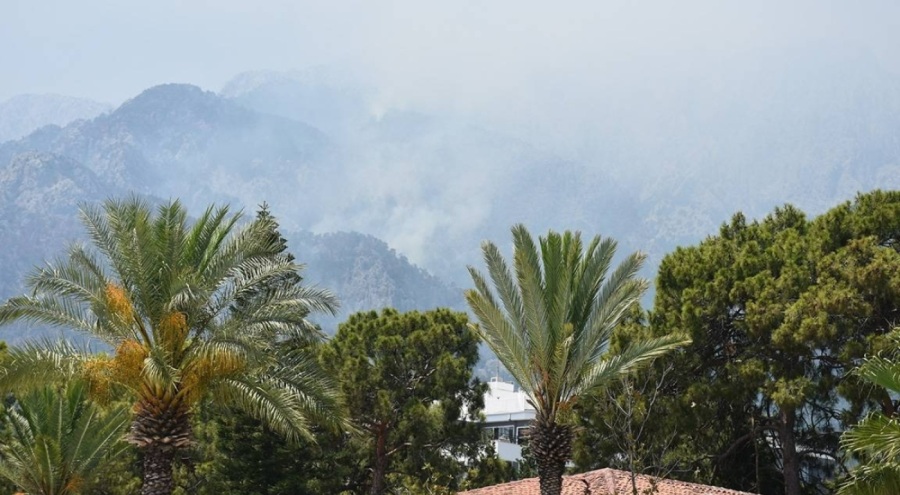 Antalya'nın Kemer ilçesindeki yangına müdahale sürüyor